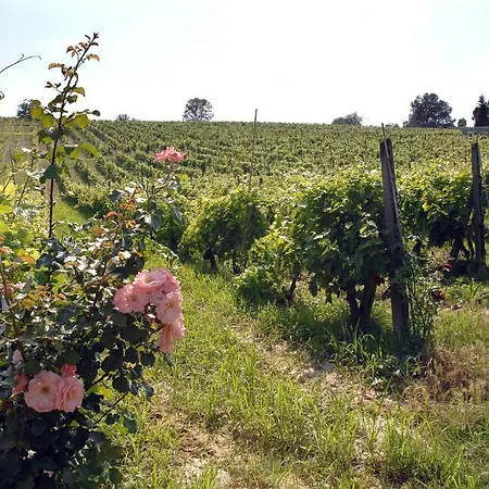 Azienda Agricola Buon Riposo San Giovanni a Corazzano Esterno foto