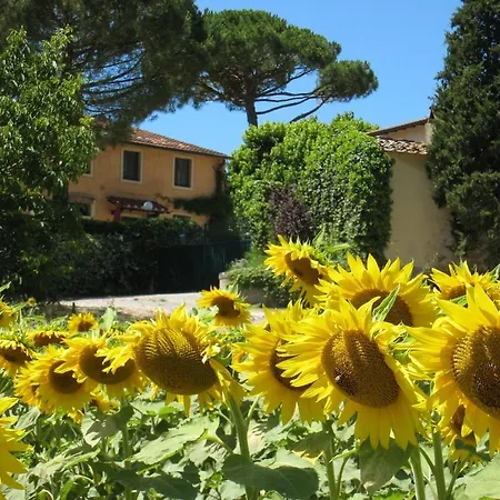 Azienda Agricola Buon Riposo San Giovanni a Corazzano Esterno foto
