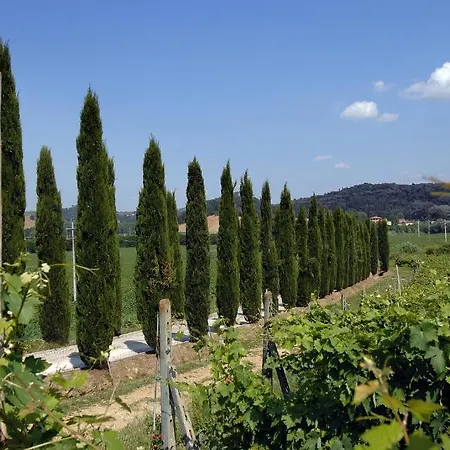 Azienda Agricola Buon Riposo San Giovanni a Corazzano Esterno foto