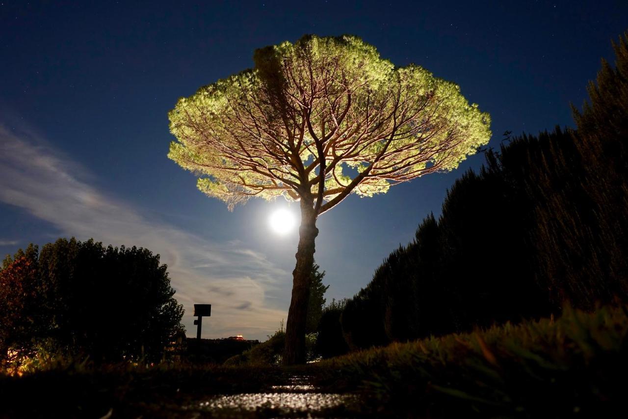 Buon Riposo - Country In The Heart Of Tuscany Country house