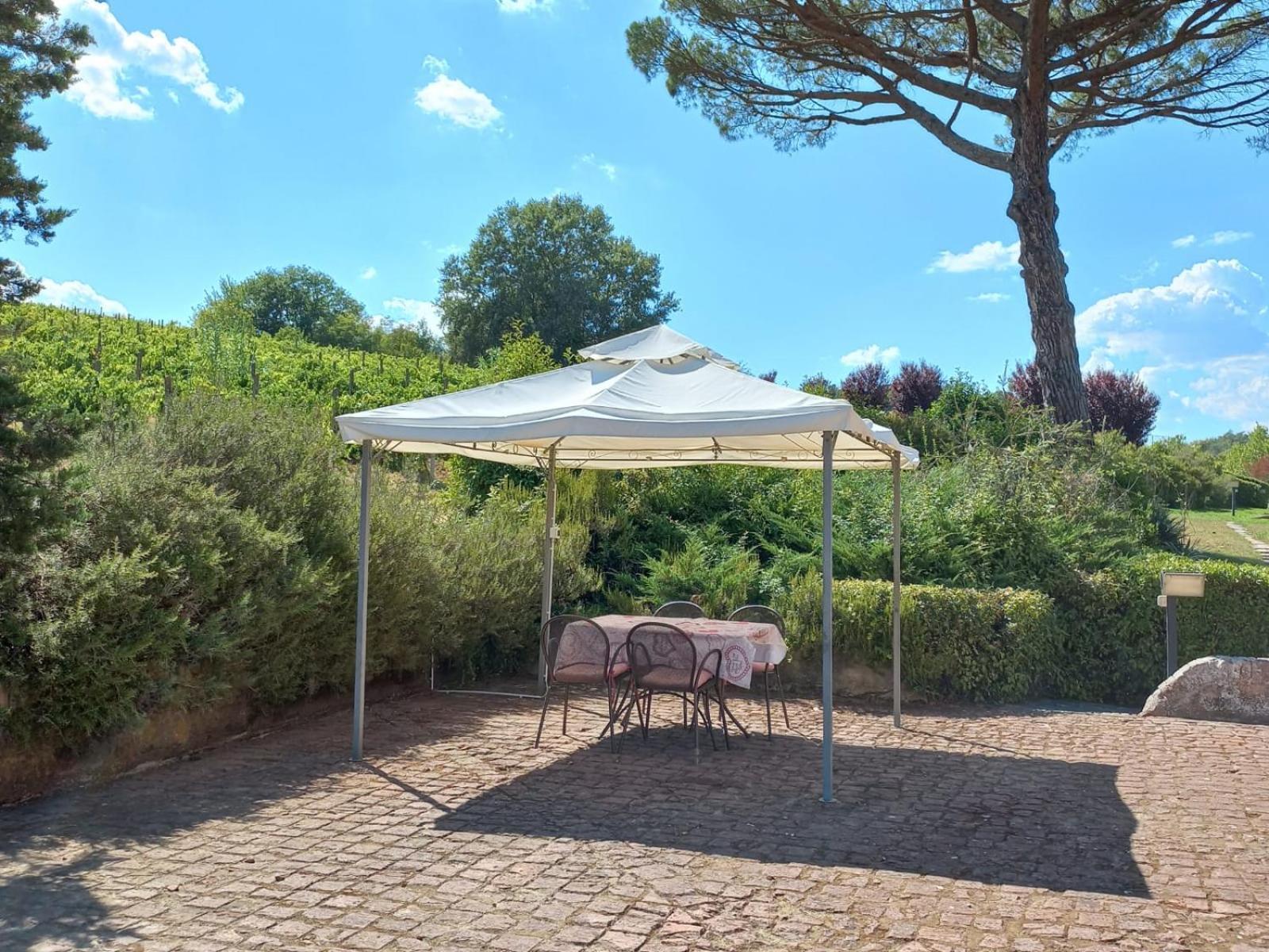 Buon Riposo - Country In The Heart Of Tuscany *