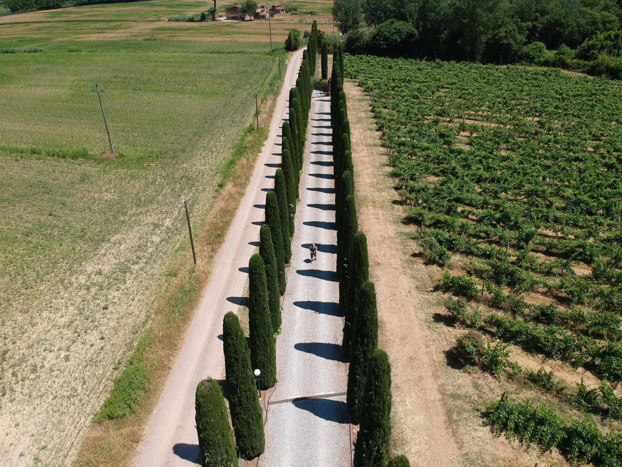 Azienda Agricola Buon Riposo