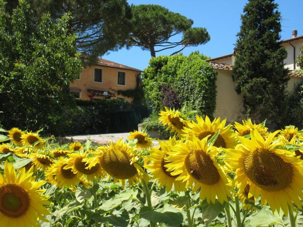 Buon Riposo - Country In The Heart Of Tuscany