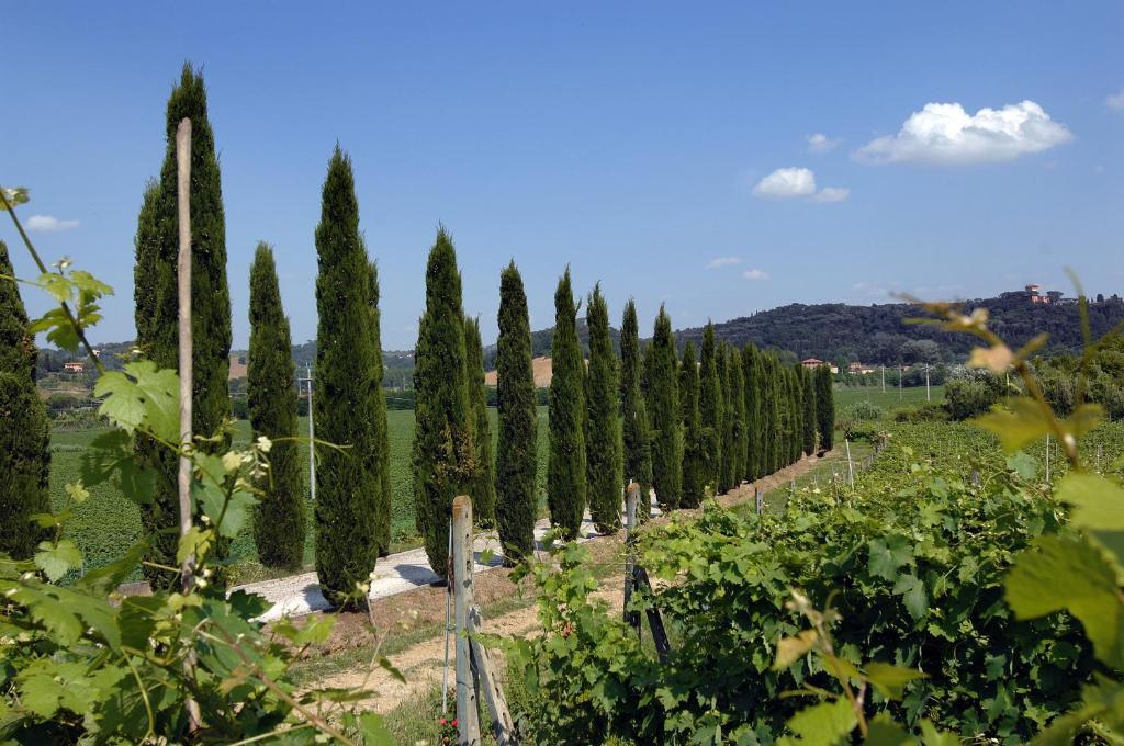 Buon Riposo - Country In The Heart Of Tuscany Country house *