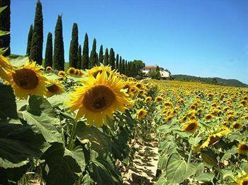 Buon Riposo - Country In The Heart Of Tuscany Country house San Giovanni a Corazzano