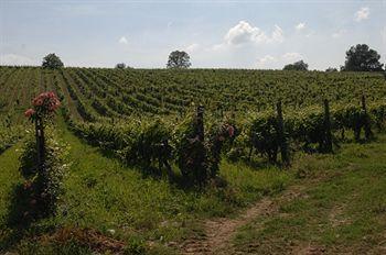 Buon Riposo - Country In The Heart Of Tuscany San Giovanni a Corazzano
